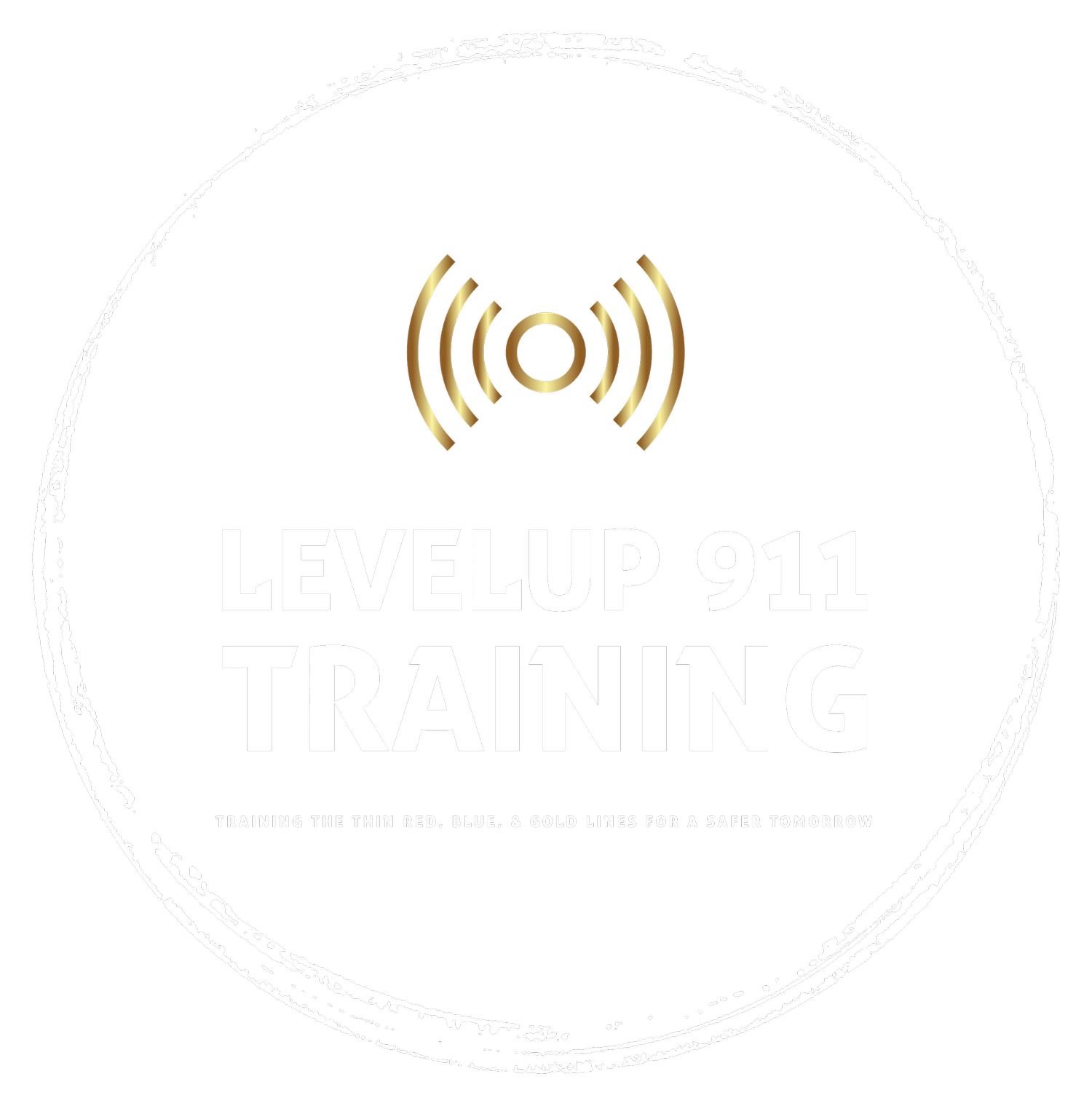 Level Up Training
